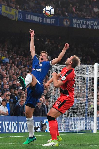 获得赞誉 获得赞誉